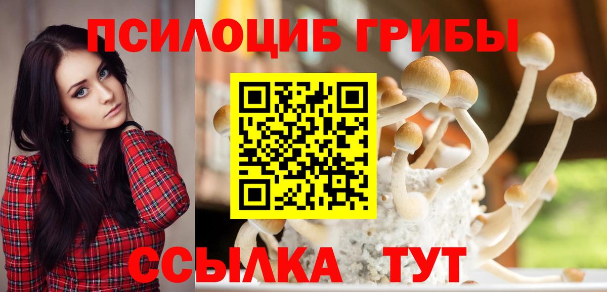 Магадан  Псилоцибиновые грибы ЛСД  Вход с VPN 