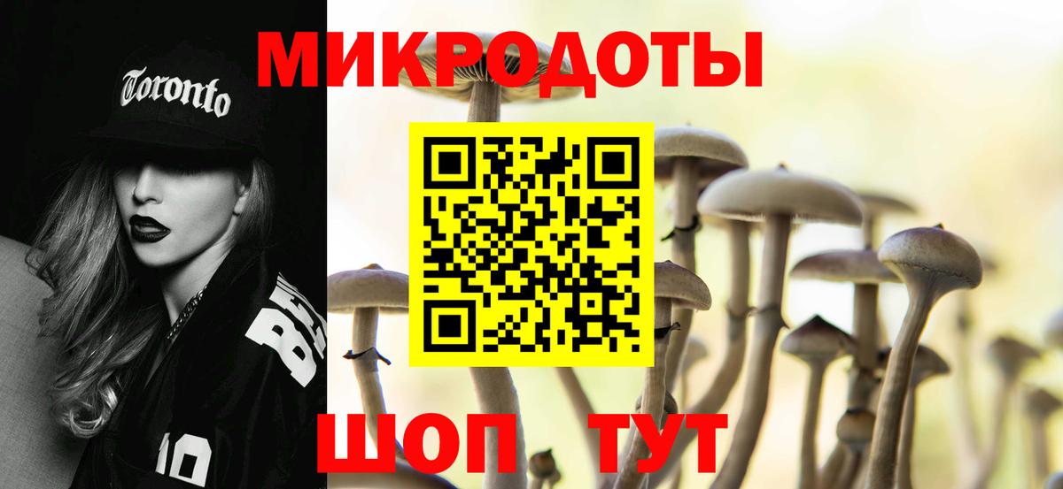Псилоцибиновые грибы мухоморы Магадан